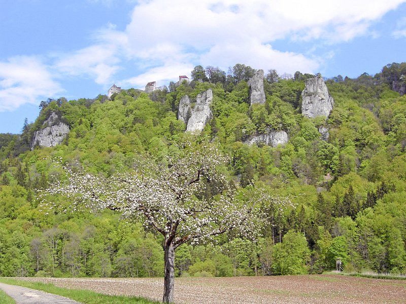 17_Burg Wildenstein.JPG